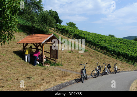 Touristen auf E-Bikes, fränkischen roten Wein-Wanderweg in den Weinbergen von Buergstadt, vertauschten, Deutschland Stockfoto