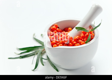 Sanddorn Beeren enthalten Vitamin C, dienen in Pharmakologie, Medizin, Kosmetik Stockfoto