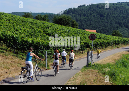 Touristen auf E-Bikes, fränkischen roten Wein-Wanderweg in den Weinbergen von Buergstadt, vertauschten, Deutschland Stockfoto