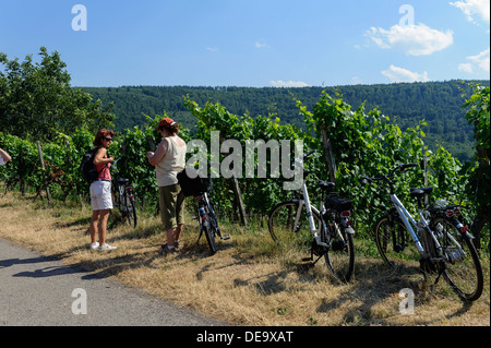 Touristen auf E-Bikes, fränkischen roten Wein-Wanderweg in den Weinbergen von Buergstadt, vertauschten, Deutschland Stockfoto