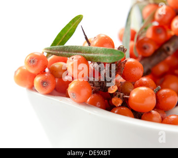 Sanddorn Beeren enthalten Vitamin C, dienen in Pharmakologie, Medizin, Kosmetik Stockfoto