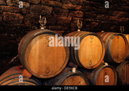 Weingut Hench, Buergstadt in Franken, Bayern Deutschland Stockfoto