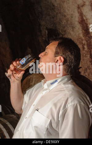 Bier-Verkostung in der Brauerei Faust, Miltenberg in Franken Bayern, Deutschland Stockfoto