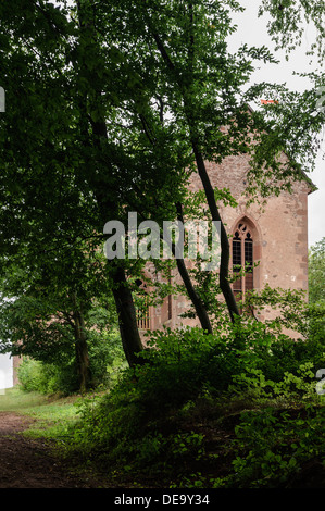 Gotische Gotthard Ruine in der Nähe von Amorbach, Wald von Oden Bayern, Deutschland Stockfoto