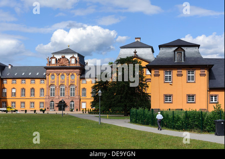 Burg Loewenstein in Kleinheubach am Main, Bayern, Deutschland Stockfoto