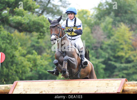 Woodstock-Oxford, England, Vereinigtes Königreich. Samstag, 14. September 2013. 2013 Treue Blenheim Palace Horse Trials. Francis Whittington (GBR) mit hastigen Imp in der Cross Country-Phase der dreitägigen Veranstaltung CCI *** Credit: Julie Badrick/Alamy Live News Stockfoto