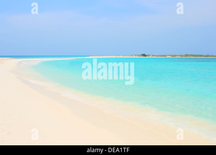 Tropischer Strand von Cayo de Agua Insel, Los Roques, Venezuela Stockfoto