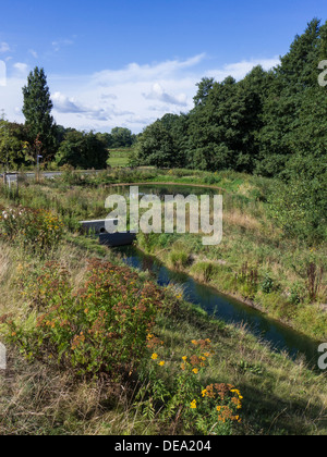 Naturschutzgebiet Stellmoorer Tunneltal, Hamburg, Deutschland Stockfoto