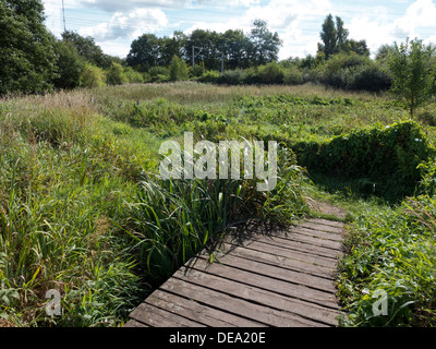 Naturschutzgebiet Stellmoorer Tunneltal, Hamburg, Deutschland Stockfoto