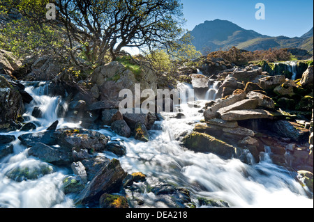 Wasserfälle auf Afon Ogwen im Schatten der Tryfan, Glyderau, Snowdonia National Park, North Wales, UK Stockfoto