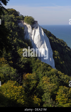 Cliff Königstuhl an Kreide-Küste im Nationalpark Jasmund, Insel Rügen, Mecklenburg-Vorpommern, Deutschland Stockfoto