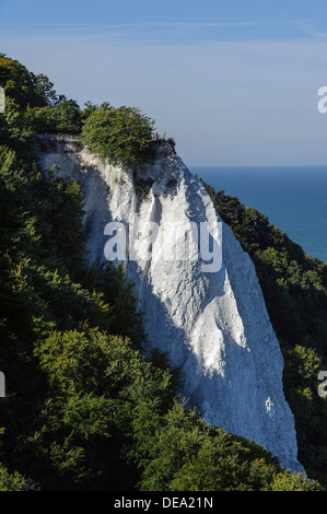 Cliff Königstuhl an Kreide-Küste im Nationalpark Jasmund, Insel Rügen, Mecklenburg-Vorpommern, Deutschland Stockfoto