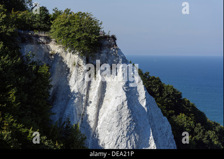 Cliff Königstuhl an Kreide-Küste im Nationalpark Jasmund, Insel Rügen, Mecklenburg-Vorpommern, Deutschland Stockfoto