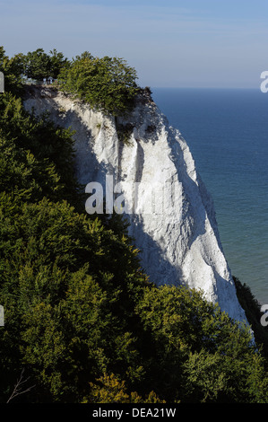 Cliff Königstuhl an Kreide-Küste im Nationalpark Jasmund, Insel Rügen, Mecklenburg-Vorpommern, Deutschland Stockfoto