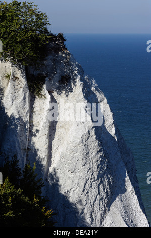 Cliff Königstuhl an Kreide-Küste im Nationalpark Jasmund, Insel Rügen, Mecklenburg-Vorpommern, Deutschland Stockfoto