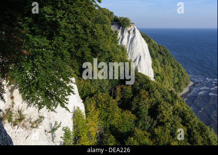 Cliff Königstuhl an Kreide-Küste im Nationalpark Jasmund, Insel Rügen, Mecklenburg-Vorpommern, Deutschland Stockfoto