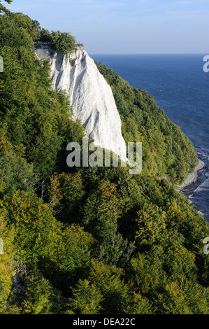 Cliff Königstuhl an Kreide-Küste im Nationalpark Jasmund, Insel Rügen, Mecklenburg-Vorpommern, Deutschland Stockfoto