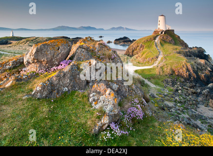 Tŵr Mawr Leuchtturm unterstützt durch die Halbinsel Lleyn, llanddwyn Island, Whitby, North Wales Stockfoto