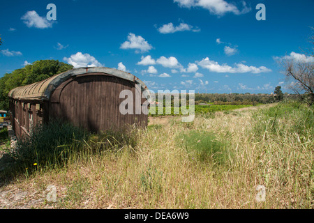 Israel. Eine alte, verlassene Waggon in der Scharonebene. Obstgärten in den Hintergrund. Stockfoto