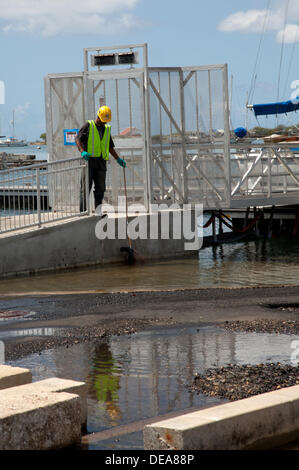 Honolulu, Hawaii, USA. 14. September 2013. Penco Arbeitskraft raffte Tote Fische nach Melasse in Honolulu Hafen zu verschütten. 1400 Tonnen Melasse verschüttet in den Hafen. Beamte fordern es Hawaiis schlimmste Katastrophe Ozean aller Zeiten. Tausende von Fischen sind gestorben, nachdem des Auslaufens aus einem Matson-Rohr verwendet, Melasse, Schiffe zu übertragen. © Craig Ellenwood/Alamy Live-Nachrichten Stockfoto