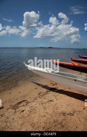 Honolulu, Hawaii, USA. 14. September 2013. Ausleger-Kanus sitzen unbenutzt im Hafen von Honolulu nach 1400 Tonnen Melasse verschüttet in den Hafen. Beamte fordern es Hawaiis schlimmste Katastrophe Ozean aller Zeiten. Tausende von Fischen sind gestorben, nachdem des Auslaufens aus einem Matson-Rohr verwendet, Melasse, Schiffe zu übertragen. © Craig Ellenwood/Alamy Live-Nachrichten Stockfoto