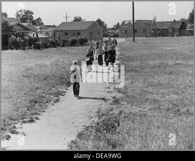 Flughafen-Darm-Trakt, in der Nähe von Modesto, Stanislaus County, Kalifornien. Kinder in der Wilson-Elementary gehen... 521634 Stockfoto