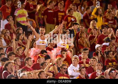 14. September 2013 - Ames, Iowa, Vereinigte Staaten von Amerika - 31. August., 2013: Iowa State fans in Aktion während der NCAA Football-Spiel zwischen den Iowa State Zyklonen und die Iowa Hawkeyes Jack Trice Stadium in Ames, Iowa... KE-Lu/CSM Stockfoto