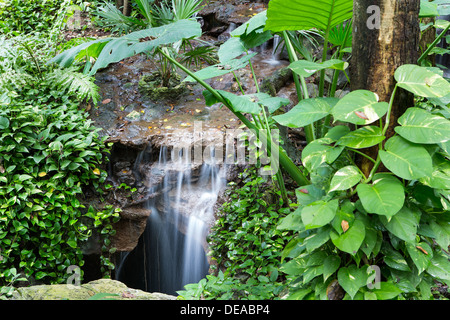 Friedliche Regenwald Wasserfall Kaskadierung über einem Stein Felsvorsprung, umgeben von dichten üppigen grünen Laub Stockfoto