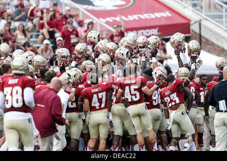 14. September 2013: Florida State Seminolen Spieler kommen zusammen vor dem Start des Spiels zwischen den Florida State Seminolen und der Nevada Wolf Pack Doak S. Campbell Stadium. Stockfoto