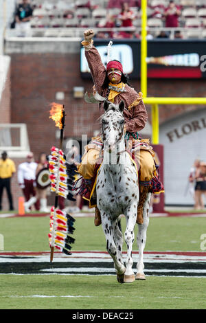 14. September 2013: Florida State Seminolen Maskottchen Chief Osceola und sein Pferd Renegade vor dem Spiel zwischen den Florida State Seminolen und der Nevada Wolf Pack Doak S. Campbell Stadium. Stockfoto