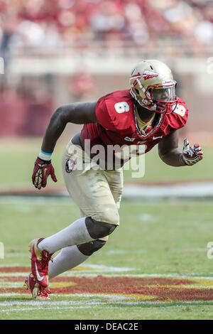 14. September 2013: Florida State Seminolen defensive end Dan Hicks (6) während des Spiels zwischen den Florida State Seminolen und der Nevada Wolf Pack Doak S. Campbell Stadium. Stockfoto