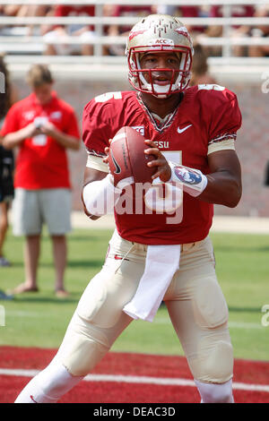 14. September 2013: Florida State Seminolen Quarterback Jameis Winston (5) erwärmt sich Befoe das Spiel zwischen der Florida State Seminolen und der Nevada Wolf Pack Doak S. Campbell Stadium. Stockfoto