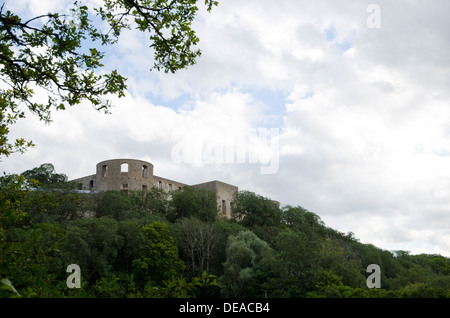 Alte Burg im Wald Stockfoto