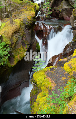 Foto von einem Wasserfall, umgeben von einer üppigen grünen Nordwesten Regenwald. Stockfoto