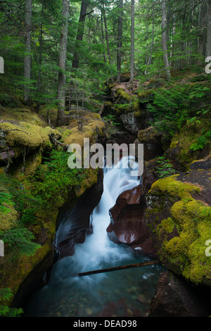 Foto von einem Wasserfall, umgeben von einer üppigen grünen Nordwesten Regenwald. Stockfoto