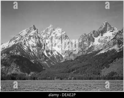 Grasbewachsenen Tal Baum überdachte Bergseite und Schnee bedeckte Gipfeln, Grand-Teton-Nationalpark, Wyoming., 1933-1942 519914 Stockfoto