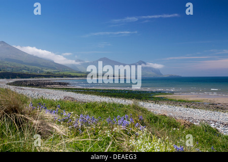 Aberdesach Strand, Blick nach Süden auf Yr eIFL.net The Rivals Berge und Küste Cardigan Halbinsel Gwynedd North Wales UK Stockfoto