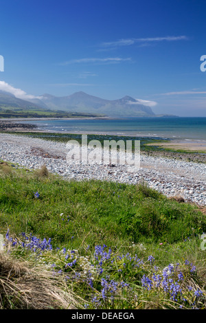 Aberdesach Strand, Blick nach Süden auf Yr eIFL.net The Rivals Berge und Küste im Frühjahr Cardigan Halbinsel Gwynedd North Wales UK Stockfoto