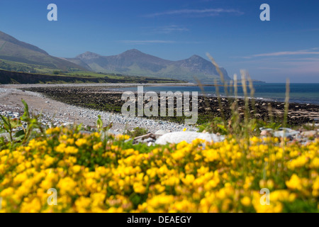 Aberdesach Strand, Blick nach Süden auf Yr eIFL.net The Rivals Berge und Küste im Frühjahr Cardigan Halbinsel Gwynedd North Wales UK Stockfoto