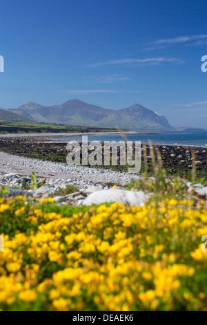 Aberdesach Strand, Blick nach Süden auf Yr eIFL.net The Rivals Berge und Küste im Frühjahr Cardigan Halbinsel Gwynedd North Wales UK Stockfoto