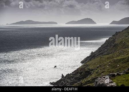 Küste am Atlantik, Halbinsel Dingle, County Kerry, Irland, Europa Stockfoto