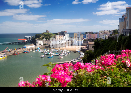 Tenby Hafen mit Blumen im Vordergrund Tenby Pembrokeshire West Wales UK Stockfoto