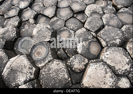 Basaltfelsen, Sechsecke gesehen von oben, Giant es Causeway, Coleraine, Nordirland, Vereinigtes Königreich, Europa Stockfoto