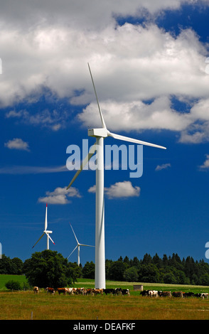 Windkraftanlagen auf Rinder weiden, Mont Crosin Windkraftwerk, Jura, Schweiz, Europa Stockfoto