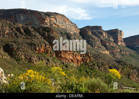 Verwitterte Felsen Landschaft in den Cederbergen in Clanwilliam, Cederberg Wilderness Area, Western Cape, Südafrika, Afrika Stockfoto