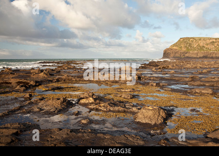 Sonnenaufgang auf dem Petrified Forest in der Curio Bay, Südinsel, Neuseeland Stockfoto