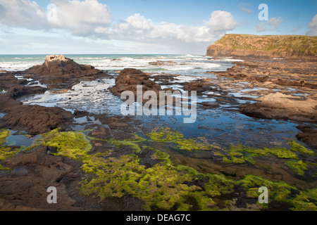 Sonnenaufgang auf dem Petrified Forest in der Curio Bay, Südinsel, Neuseeland Stockfoto