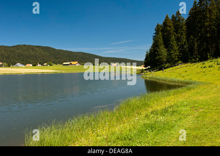 Lake Taillères, Lac des Taillères im Sommer, im Vallée De La Brévine, La Brévine Tal, Neuchâtel Jura, Schweiz Stockfoto