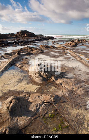 Sonnenaufgang auf dem Petrified Forest in der Curio Bay, Südinsel, Neuseeland Stockfoto