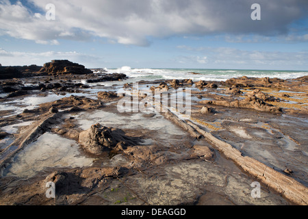 Sonnenaufgang auf dem Petrified Forest in der Curio Bay, Südinsel, Neuseeland Stockfoto